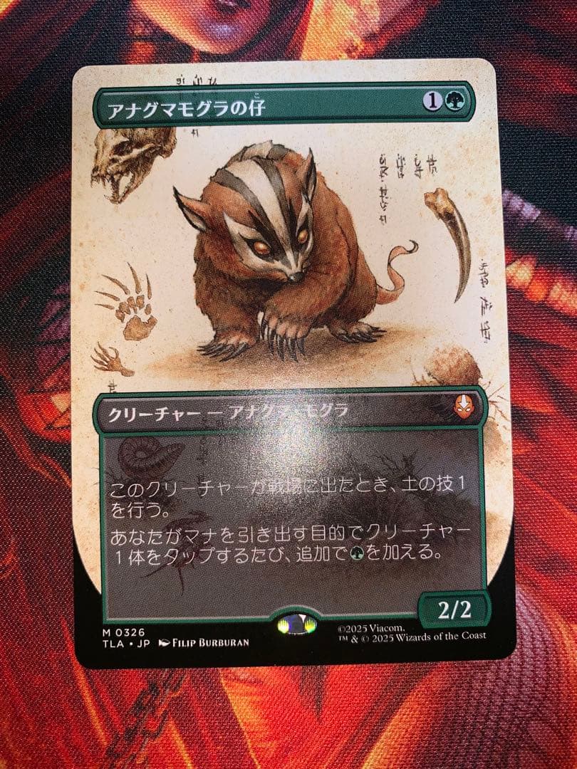 MTG アナグマモグラの仔/Badgermole Cub ボーダーレス TLA