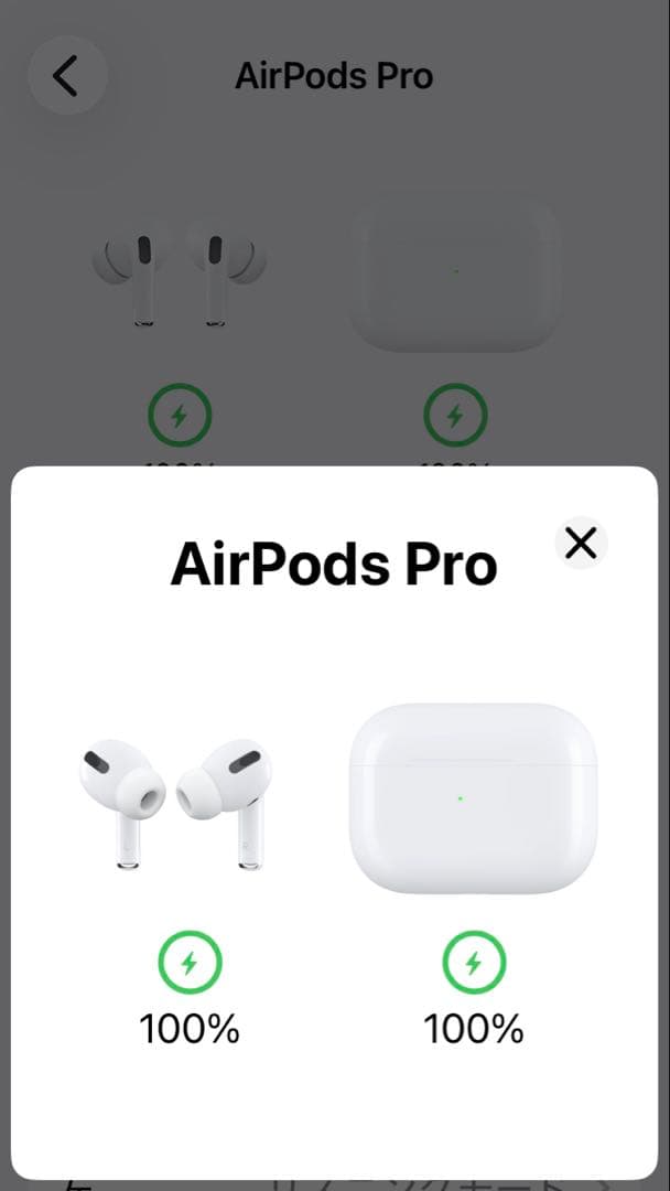 Apple AirPods Pro MLWK3JA エアポッズプロ