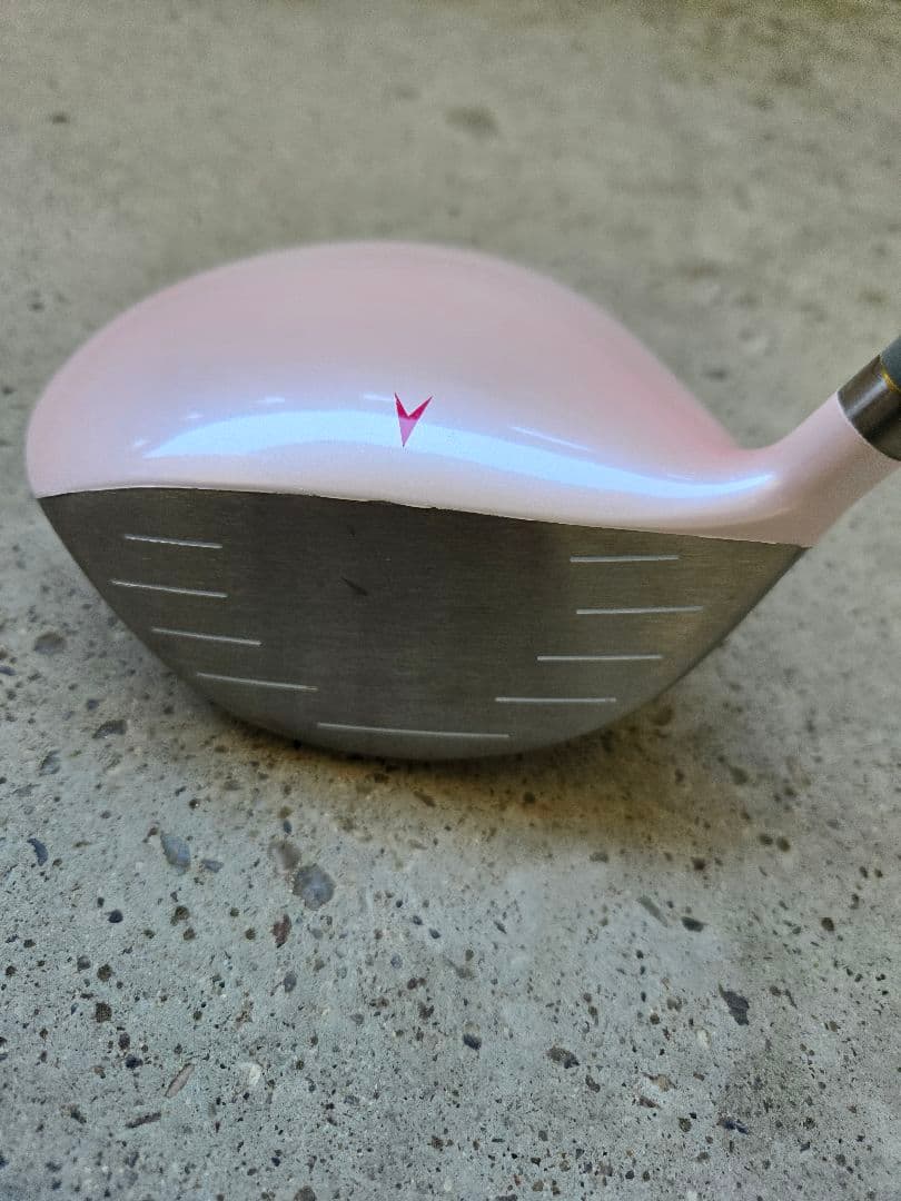 IGNIO　イグニオ　レディースゴルフ10本セット　FLEX-L　初心者ゴルフ