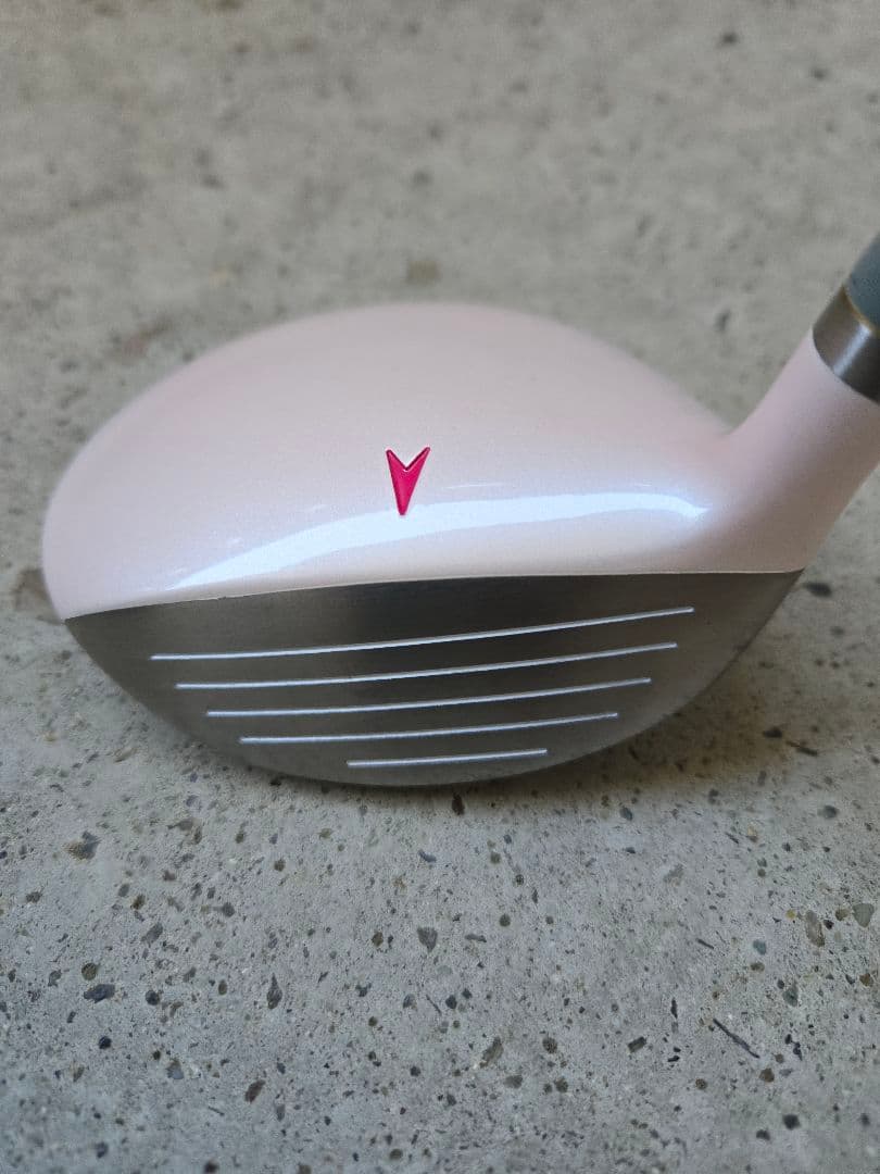 IGNIO　イグニオ　レディースゴルフ10本セット　FLEX-L　初心者ゴルフ