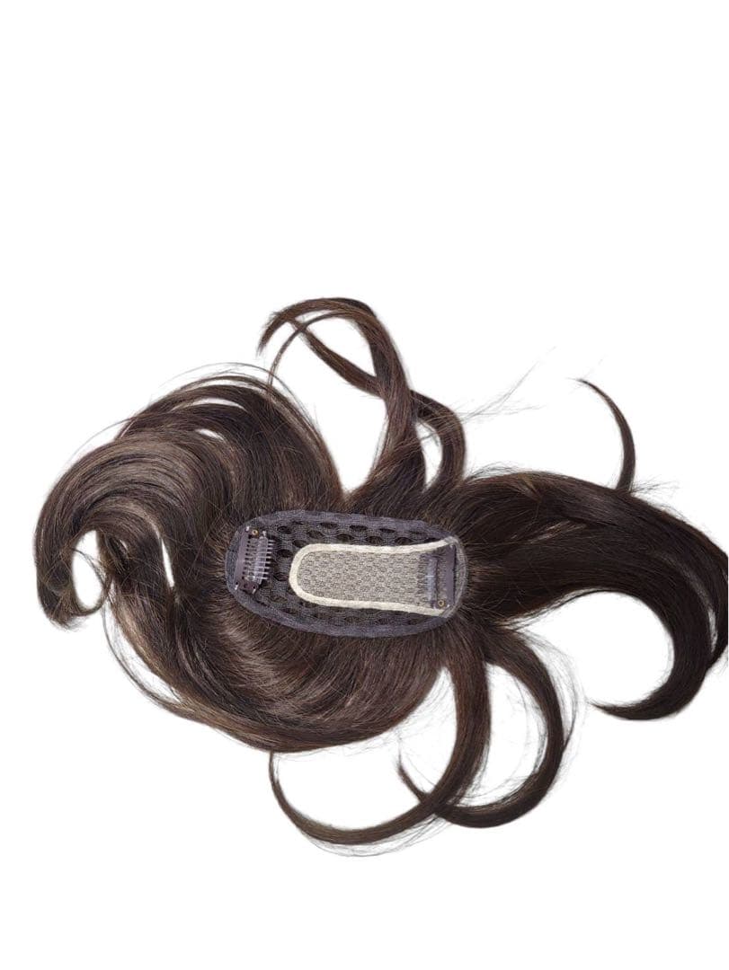 エアリッチ　ジュリアオージェ　部分ウィッグ　アートネイチャー