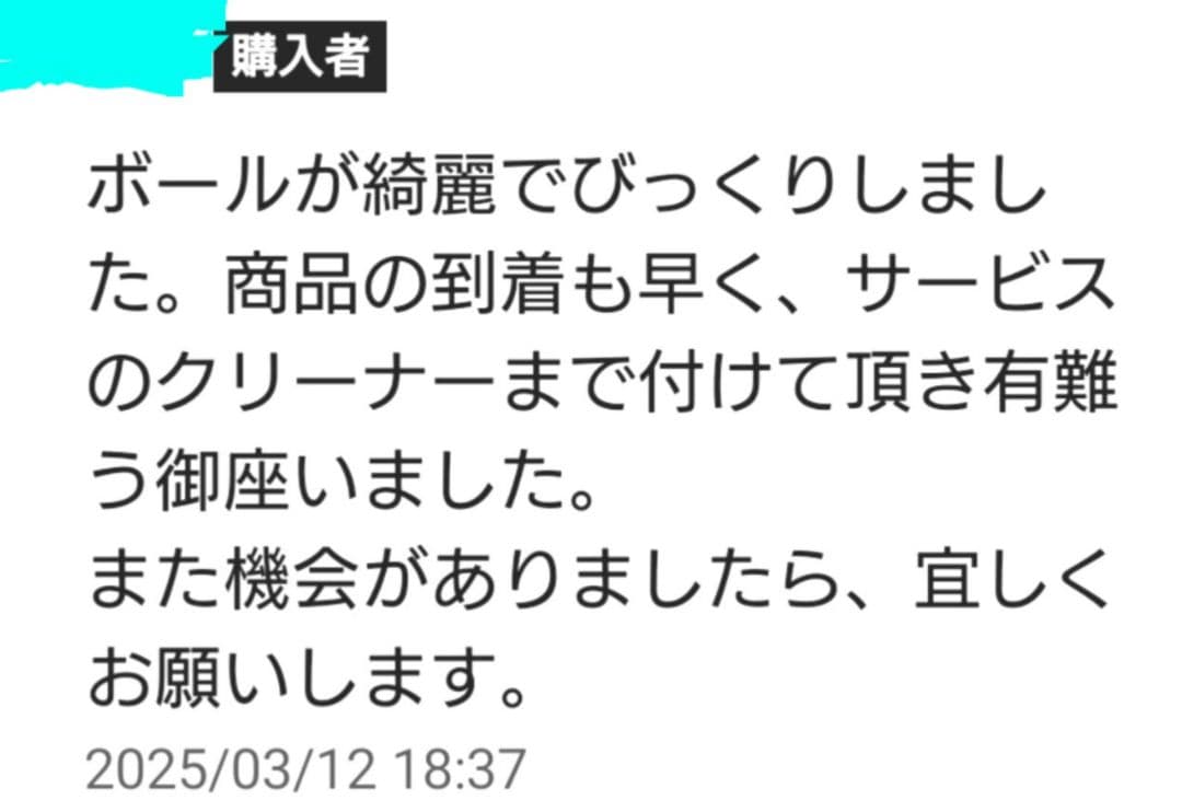 フィジックス プロモデル ボウリング ボール スポーツ ストーム