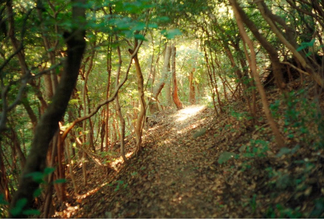 フィルムカメラ Minolta model II Canon serenar 50mm f1.8