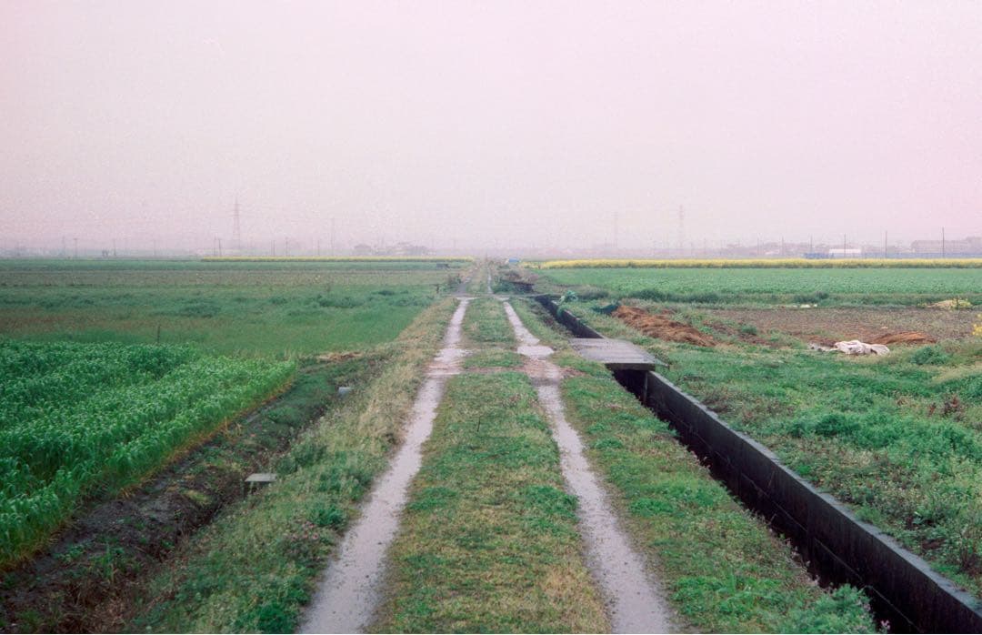 フィルムカメラ Minolta model II Canon serenar 50mm f1.8