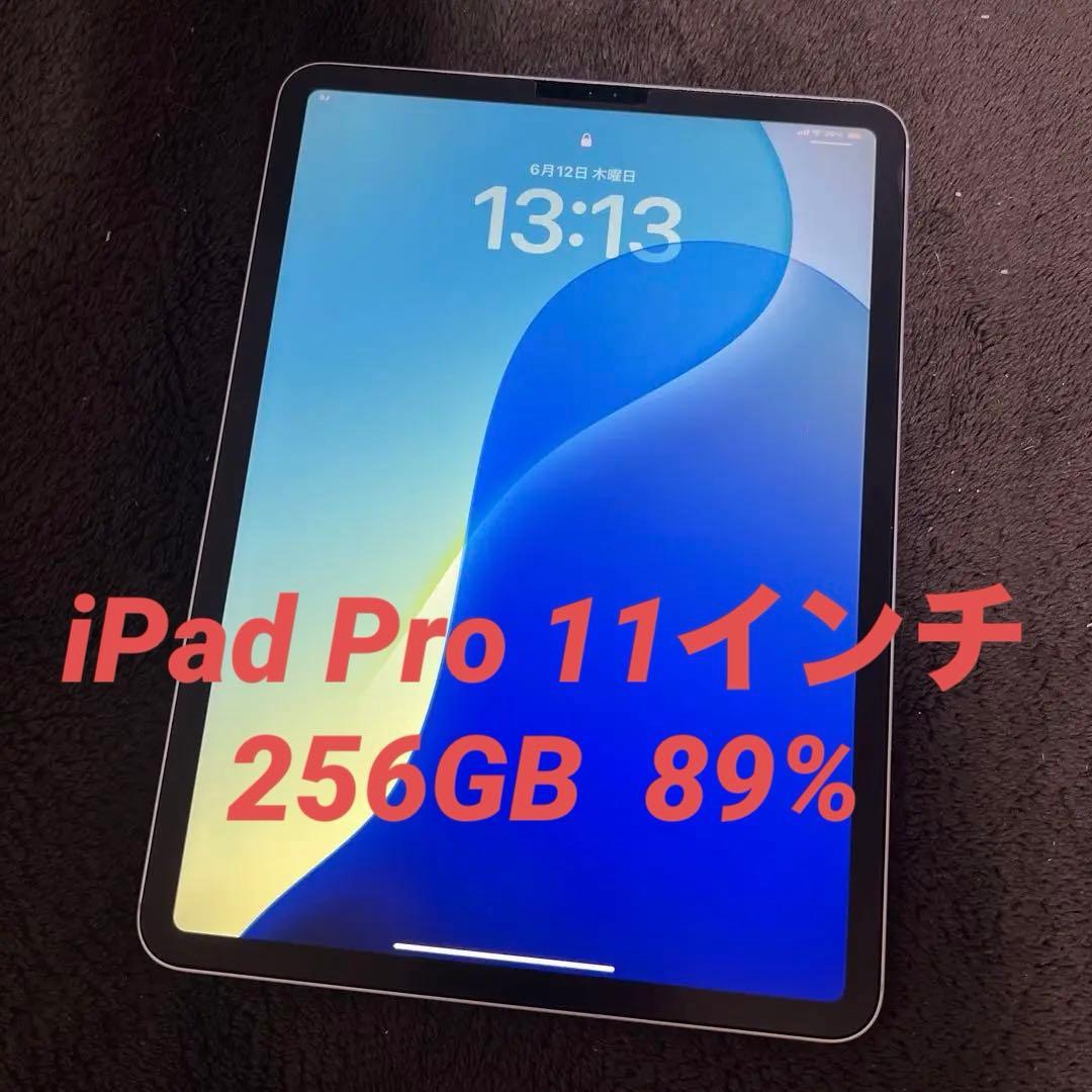 iPad Pro 11インチ 256GB セルラー