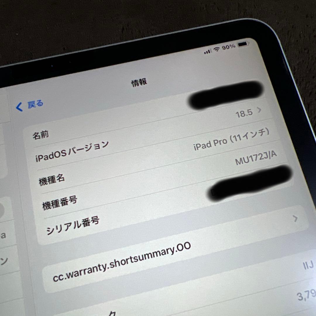 iPad Pro 11インチ 256GB セルラー