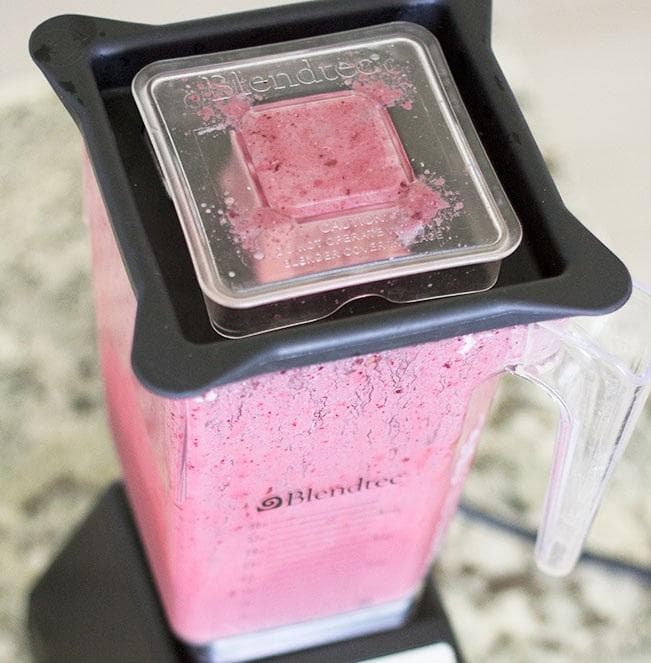 Blendtec Saver ブレンダー 　2容器付（内１つはサービス）