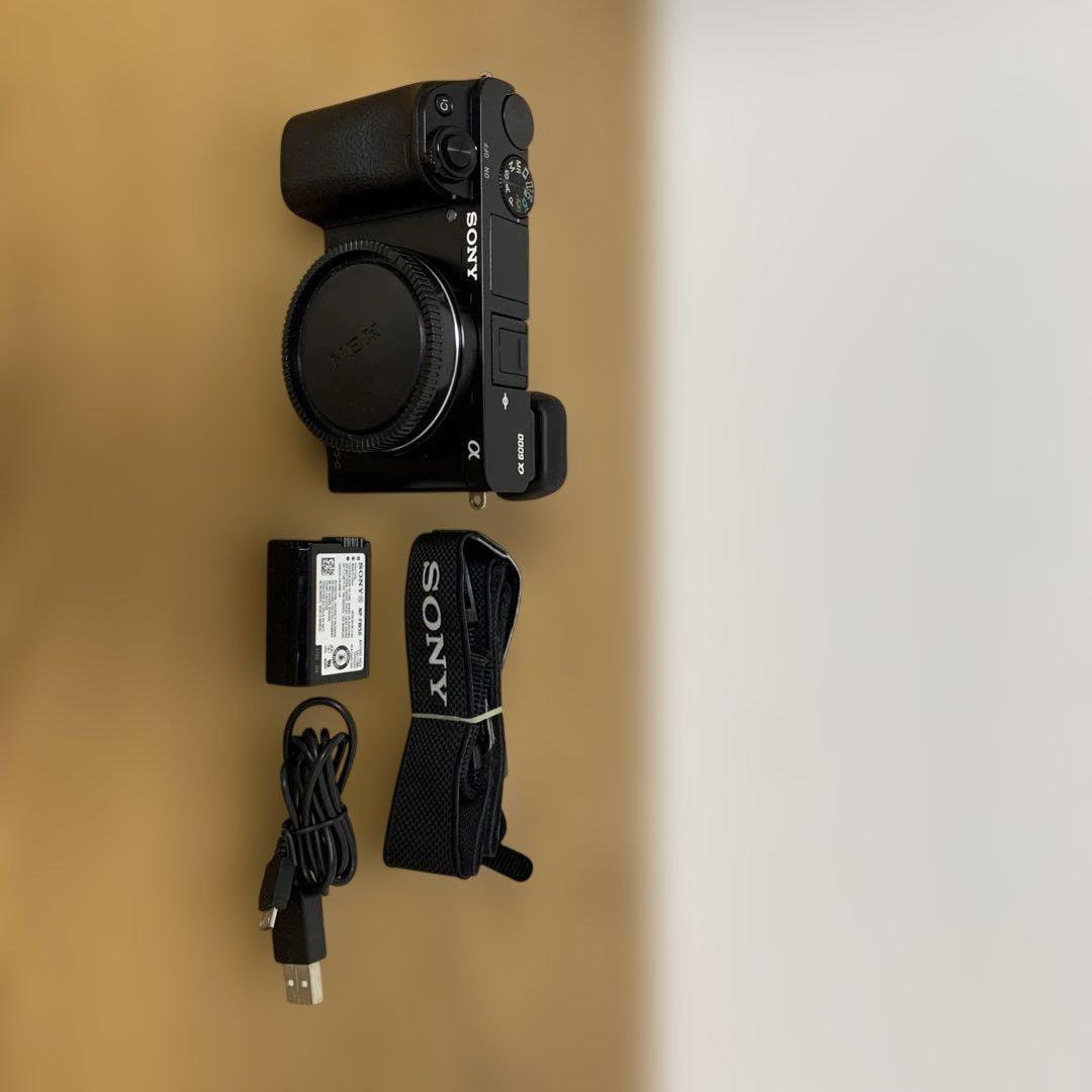 Sony α6000 ボディ