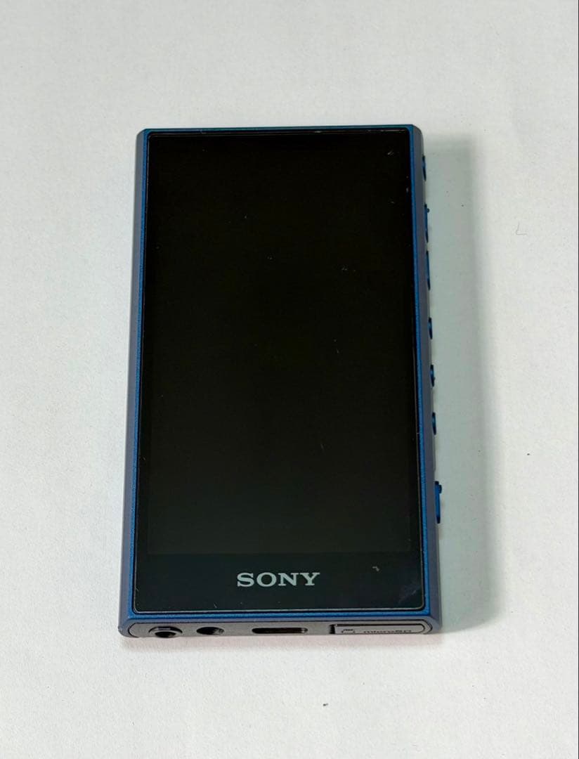 SONY NW-A306ウォークマン 32GB 純正ケース、画面保護シート付き