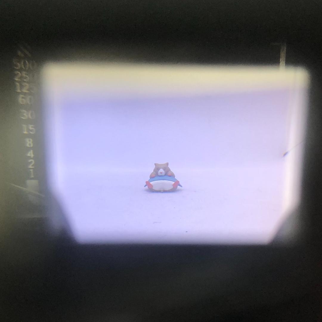 【C7001】OLYMPUS オリンパス XA A11 フィルムカメラ ケース付