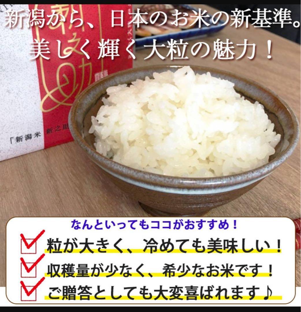 新潟米 新之助 5kg×2袋