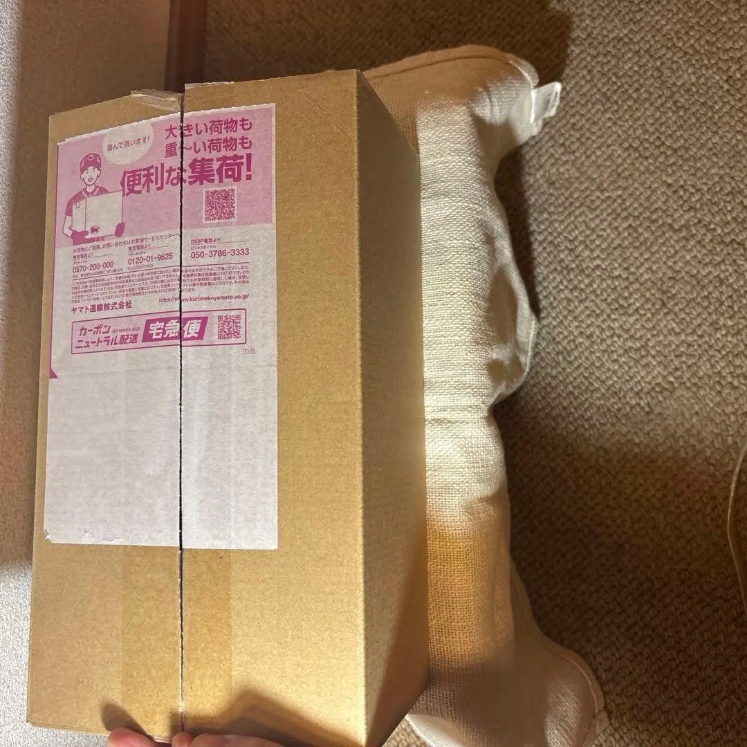 帆*夏様 【新品未開封】ポケモンセンターヒロシマスペシャルボックス