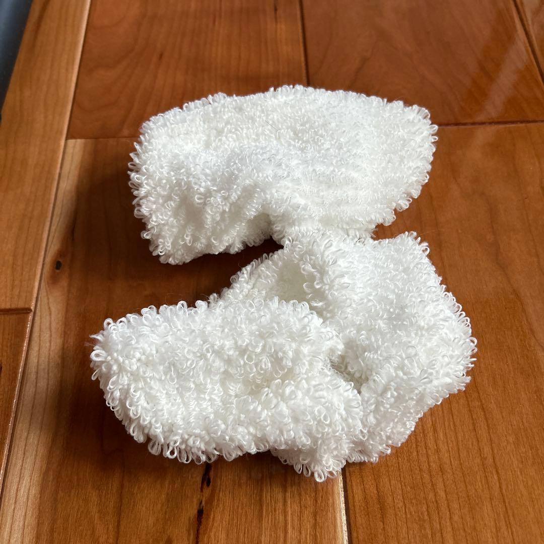 ケルヒャーSC 2 EasyFix スチームクリーナー本体