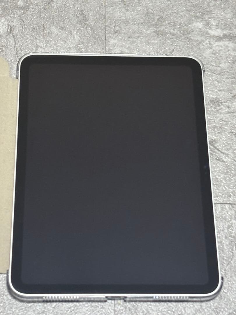Apple iPad 11 インチ (A16): 11 インチ 126GB