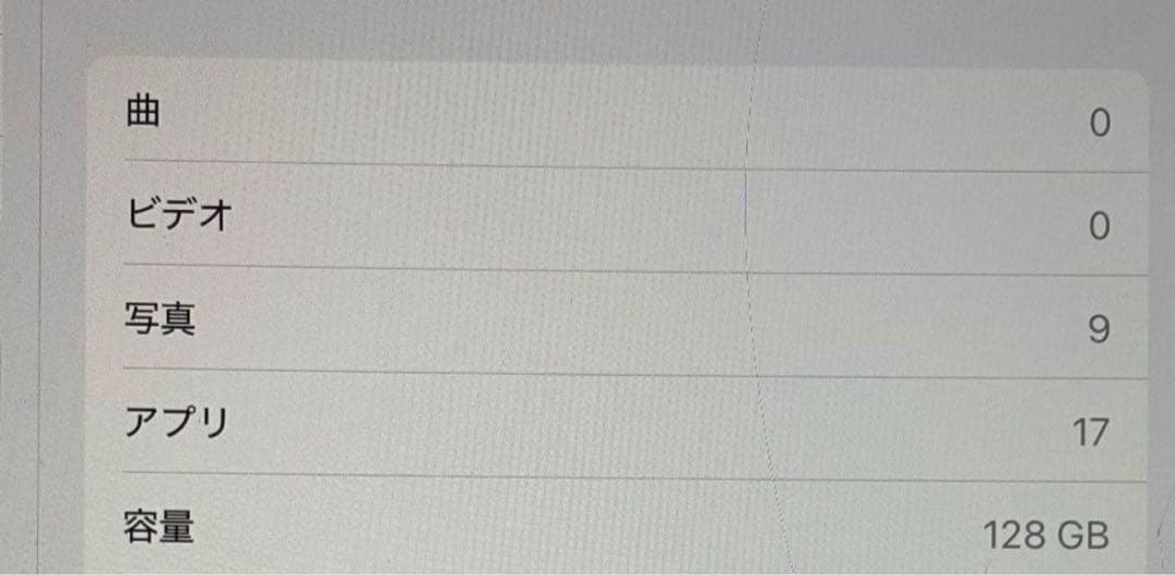 Apple iPad 11 インチ (A16): 11 インチ 126GB