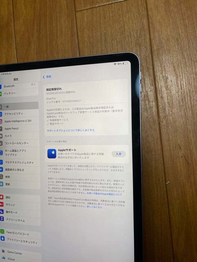 Apple iPad Pro 11インチ第４世代 256GB