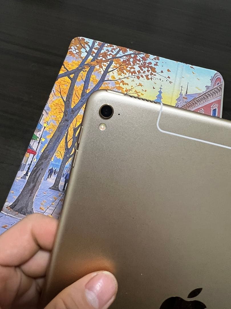 Ipad pro 9.7 インチ　128ｇｂ　Wi-Fi＋ 4G