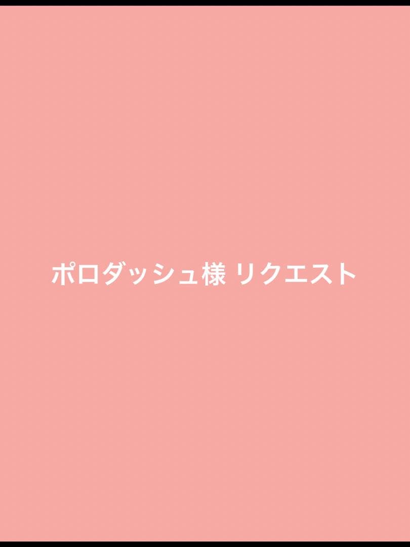 ポロダッシュ様 リクエスト 6点 まとめ商品