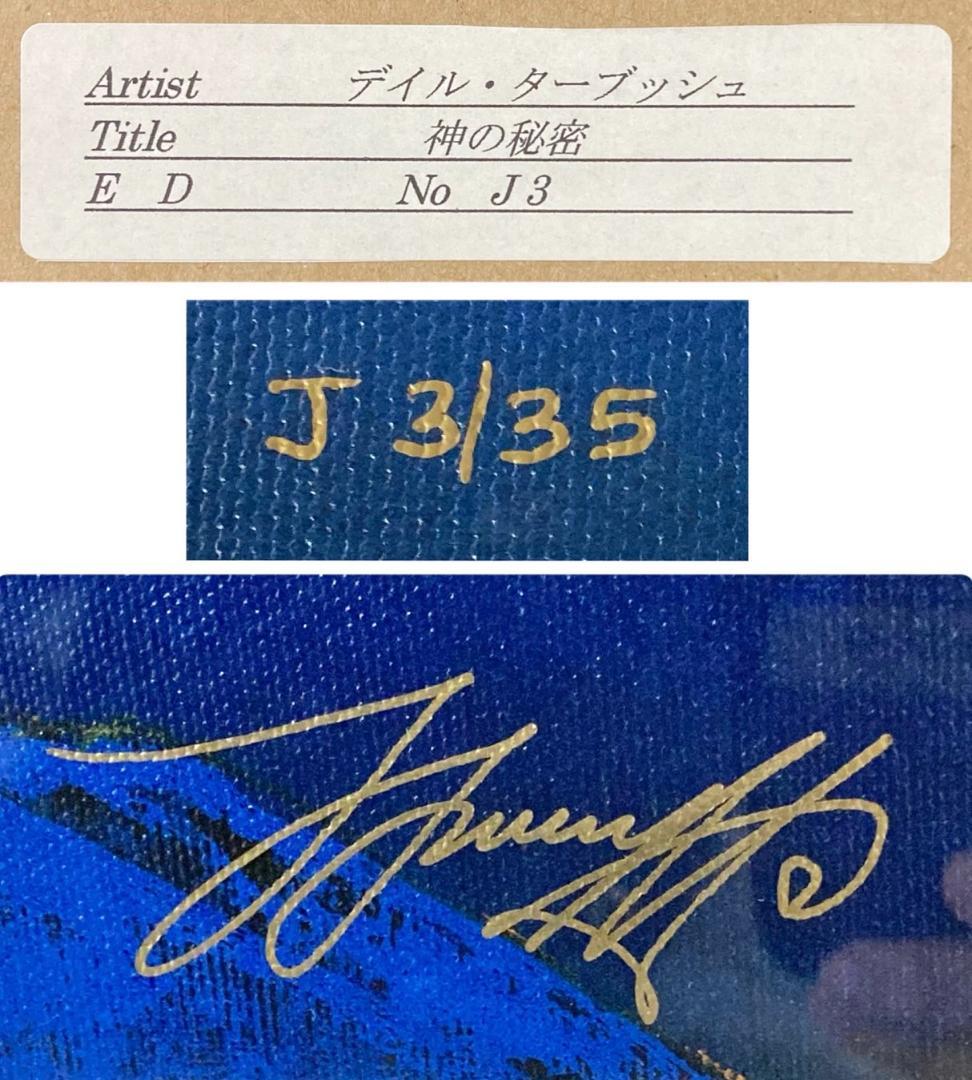 HFD2120 ★証明書付・美品★ デイル ターブッシュ 神の秘密