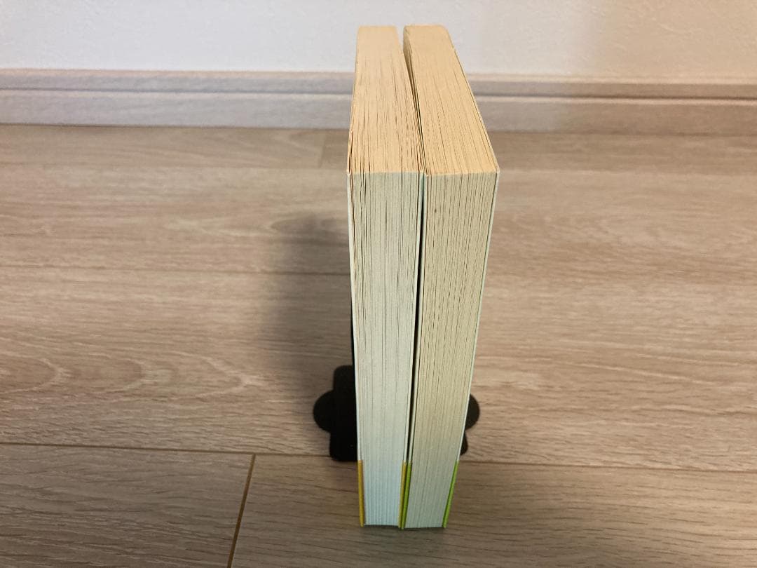 絵本アイビーボーイ図鑑、絵本アイビーギャル図鑑セット　初版　帯付き　穂積　和夫