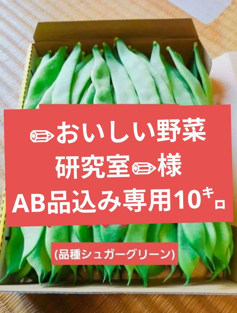 ✏おいしい野菜研究室✏　ジャンボいんげんAB品込み10㌔低農薬