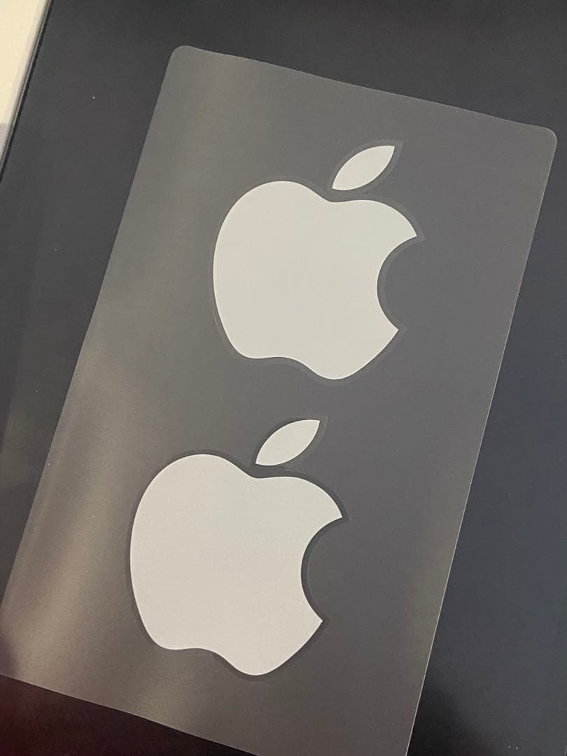 iPad Pro 第2世代 11インチ 256GB スペースグレイ ジャンク品