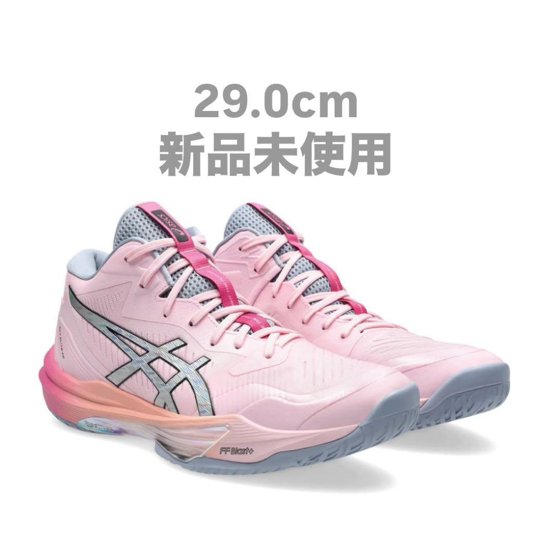 SKY ELITE スカイエリート 高橋藍モデル 29.0cm