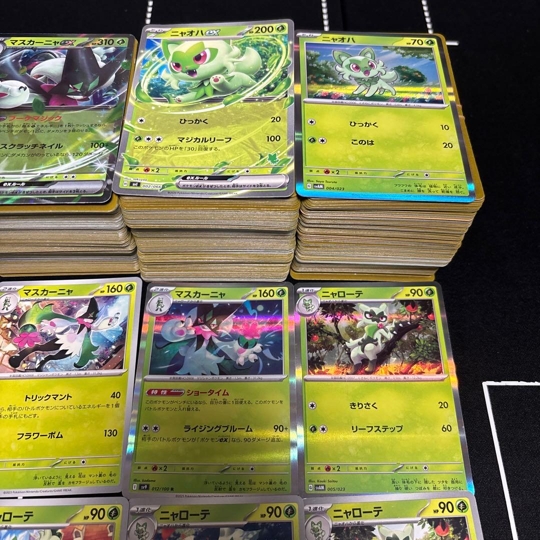 【約1000枚】ポケモンカード　ニャオハ　ニャローテ　マスカーニャ大量セット