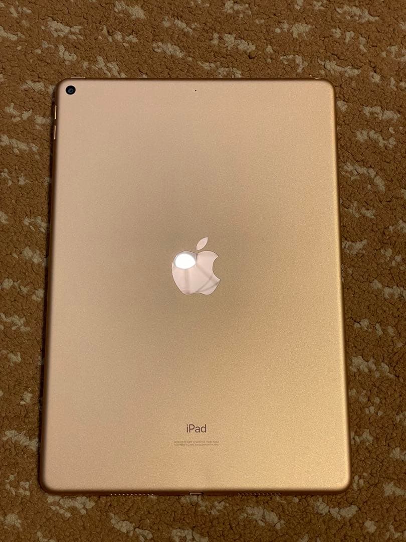 iPad air 第3世代 本体 Apple Pencil付き