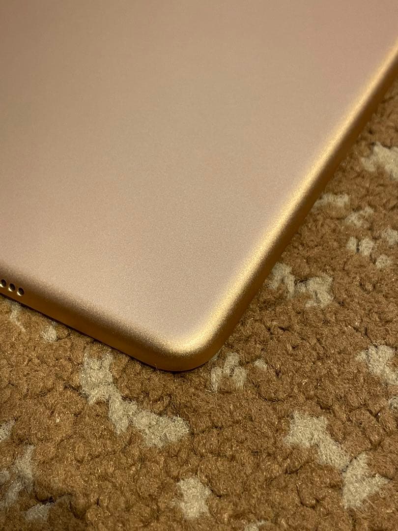 iPad air 第3世代 本体 Apple Pencil付き