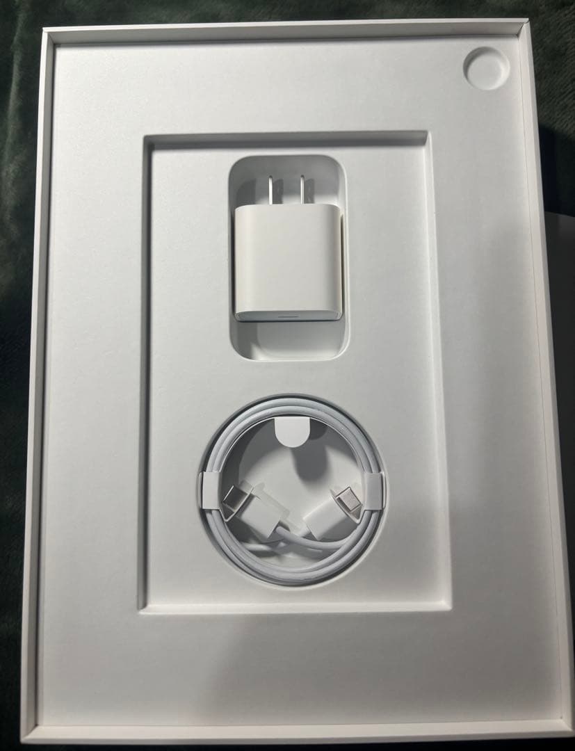 iPad Pro 11インチ 第1世代 Wi-Fi 1TB MTXV2J/A