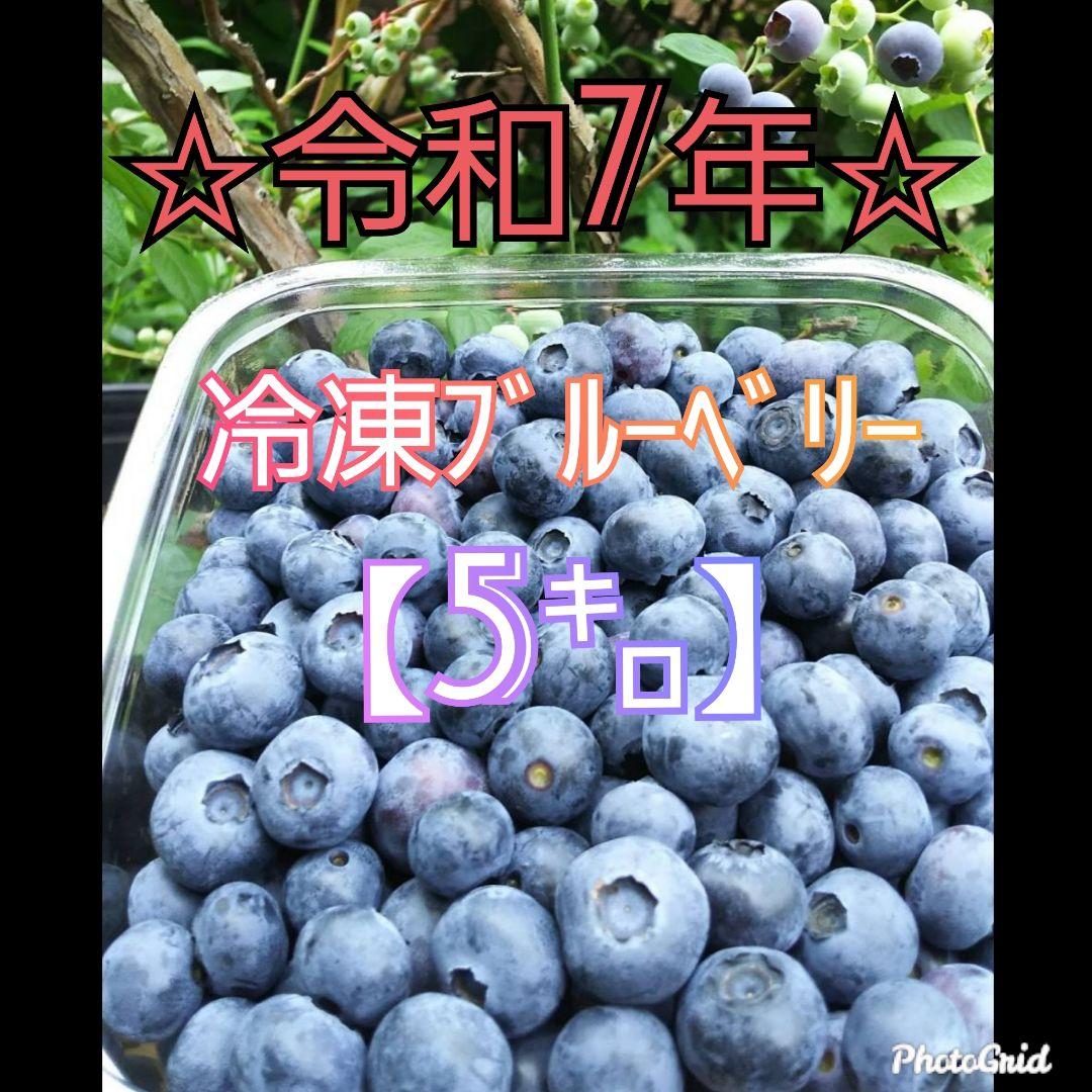 ☆令和7年 冷凍ブルーベリー☆農薬不使用 ⠀5㌔