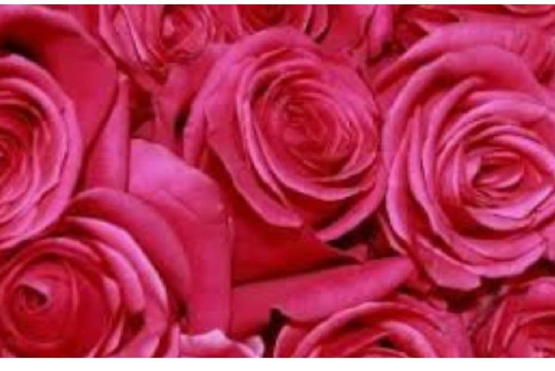 くまさん様 ハンドメイドスカート