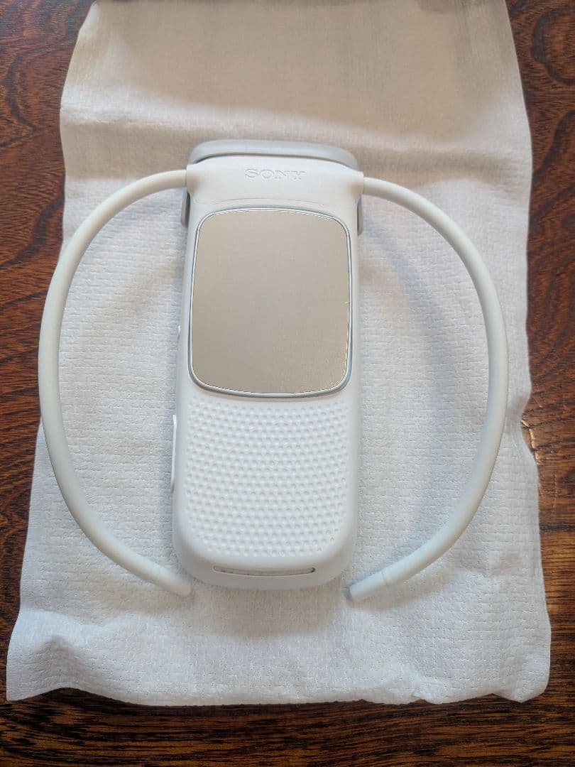 その他 REON POCKET5