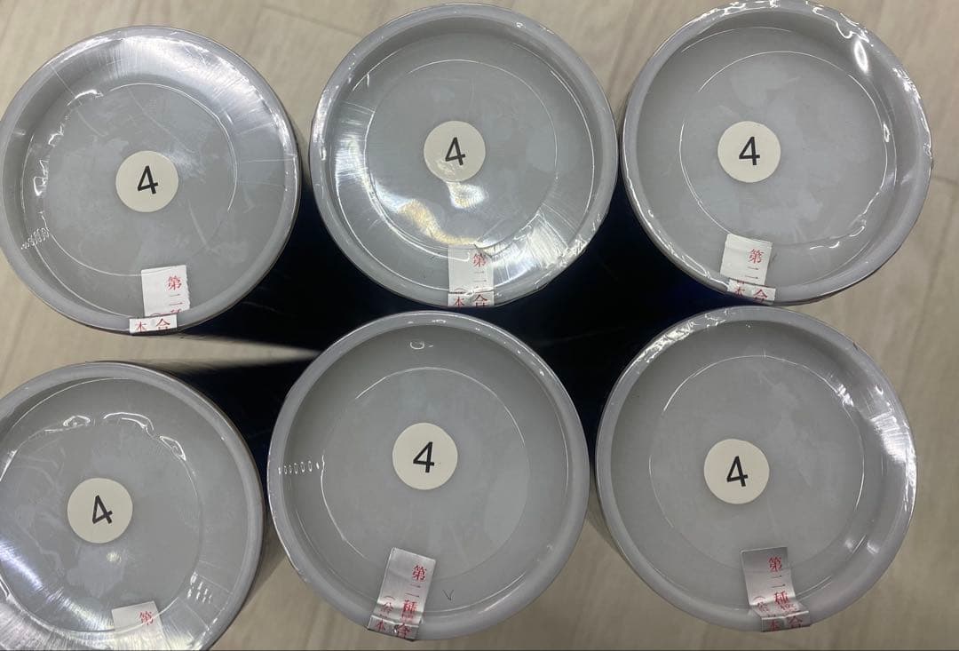 Mizuno スカイクロスG-II バドミントンシャトル ６本　SKYCROSS