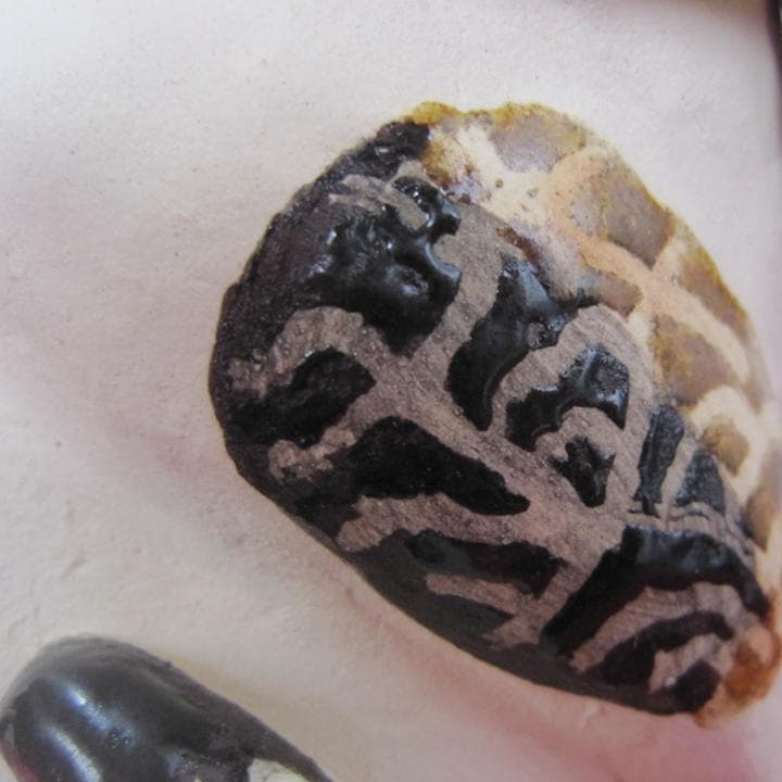 招き猫　置物　作家　新品　三毛猫　青海波模様　陶器