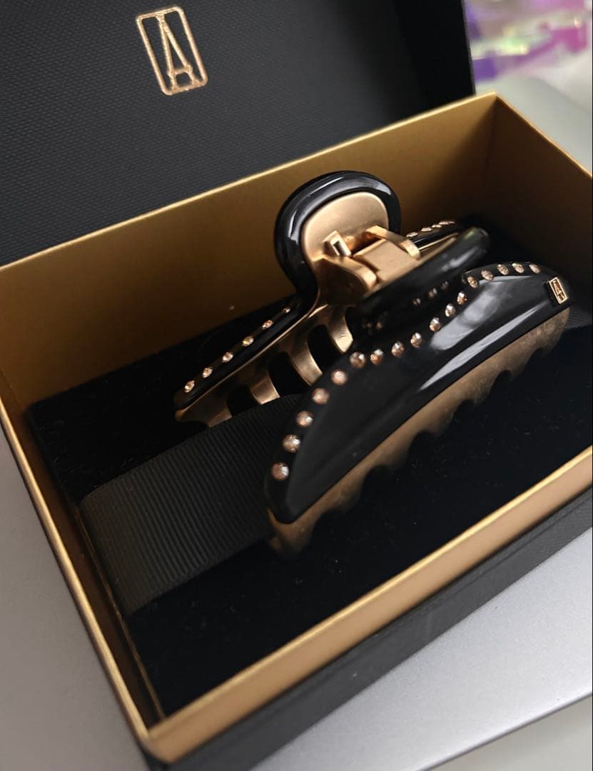 ALEXANDRE DE PARIS VENDOME M クリップ　箱付き