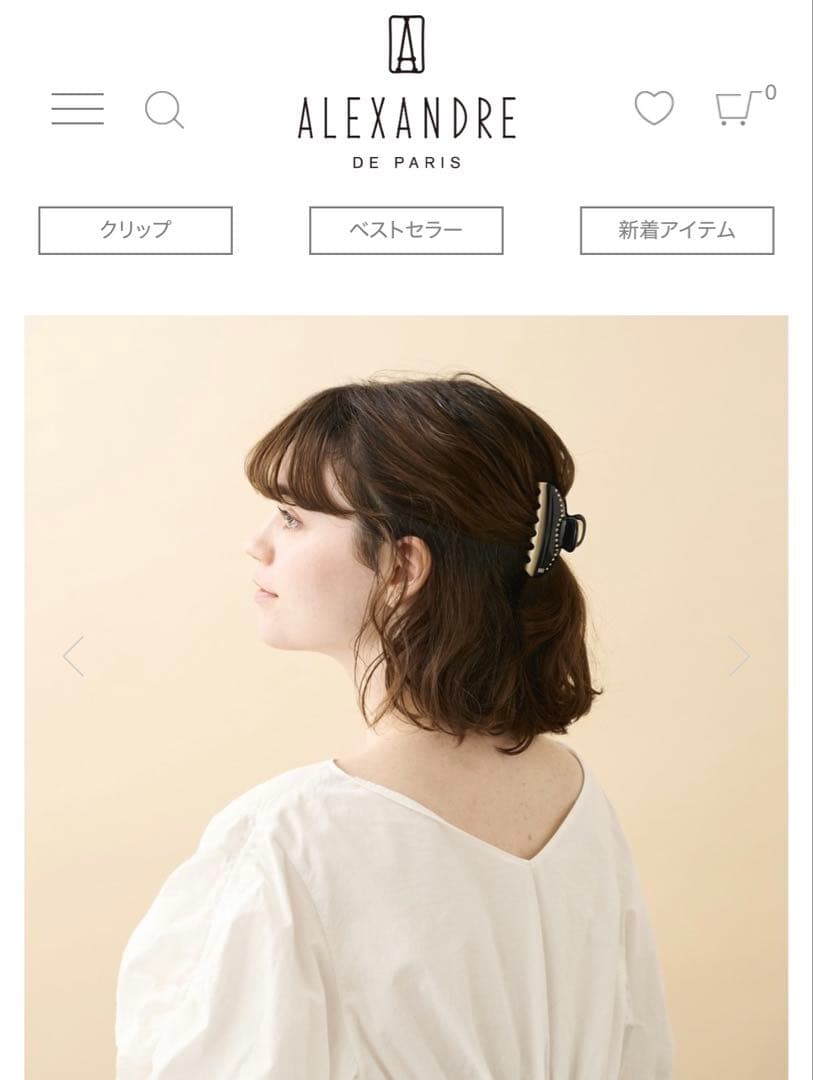 ALEXANDRE DE PARIS VENDOME M クリップ　箱付き