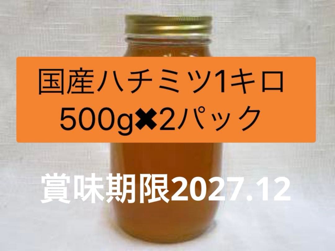 国産ハチミツ１キロパック✖︎1