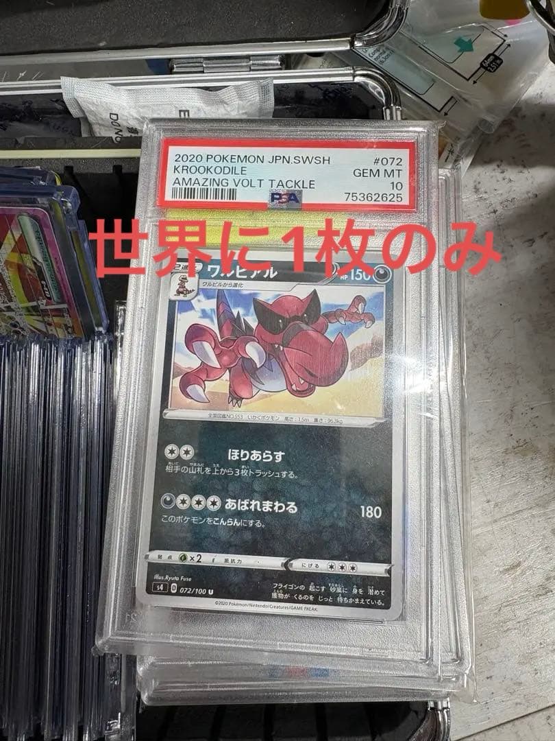 ポケカ　世界に1枚のみ　ワルビアル psa10