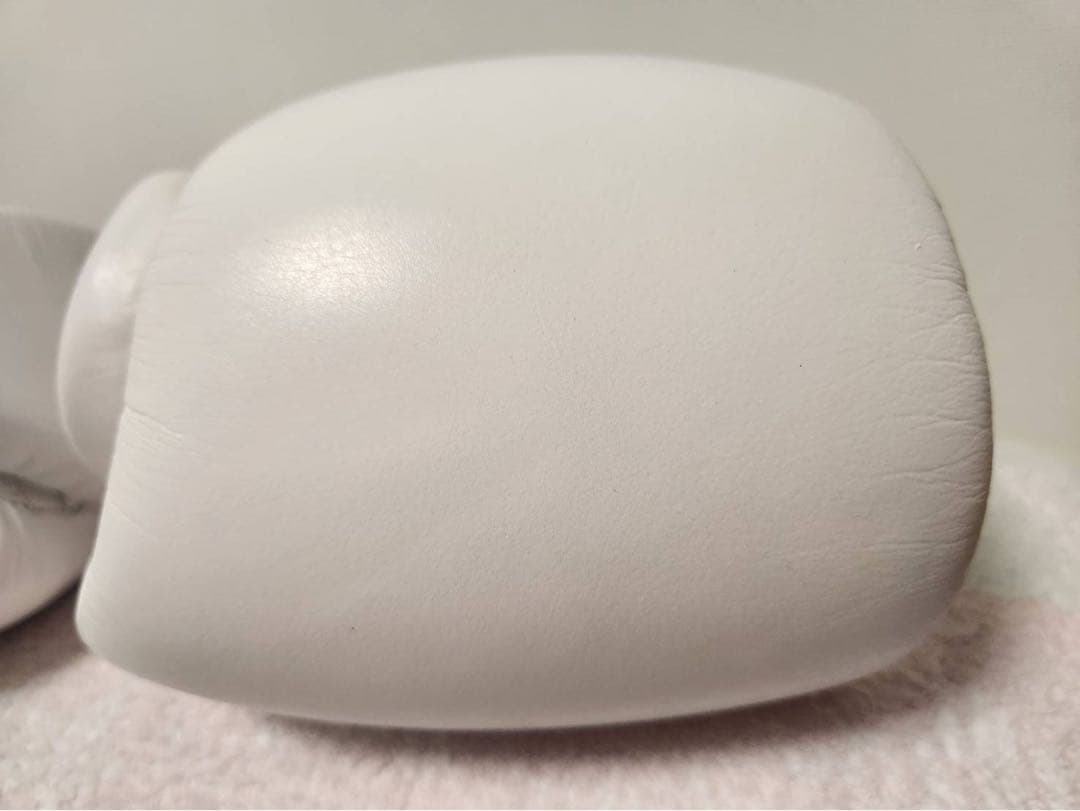 PRIZE RING professional SSボクシンググローブ 14oz