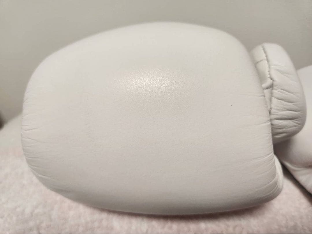 PRIZE RING professional SSボクシンググローブ 14oz