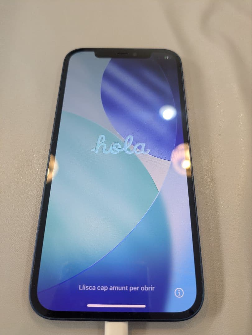 Apple iPhone 12 ブルー 64GB 本体 動確済み SIMフリー