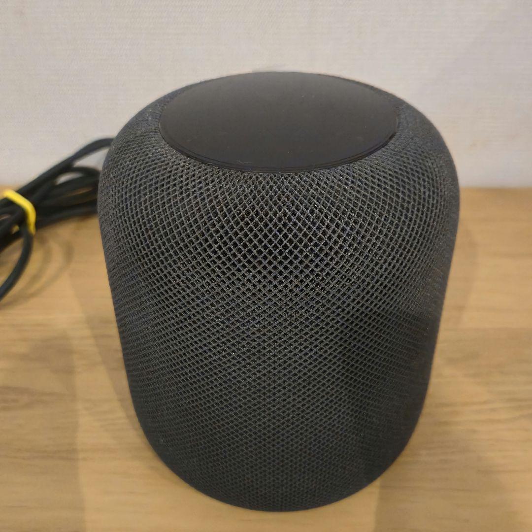 Apple Pod (第1世代)スペースグレイ