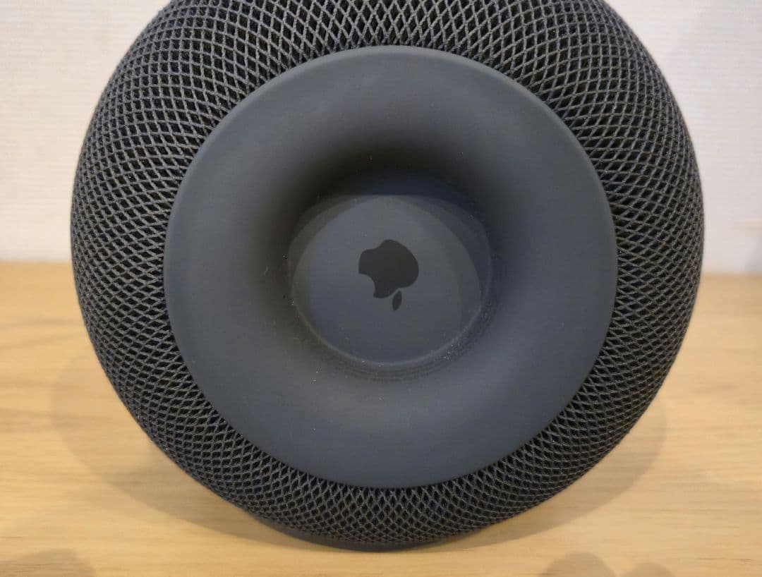 Apple Pod (第1世代)スペースグレイ