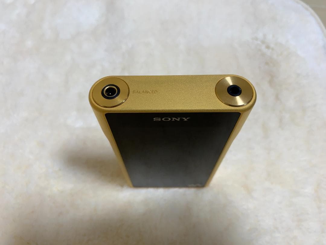 超美品、ウォークマンNW-WM1Z＋リモコン セット