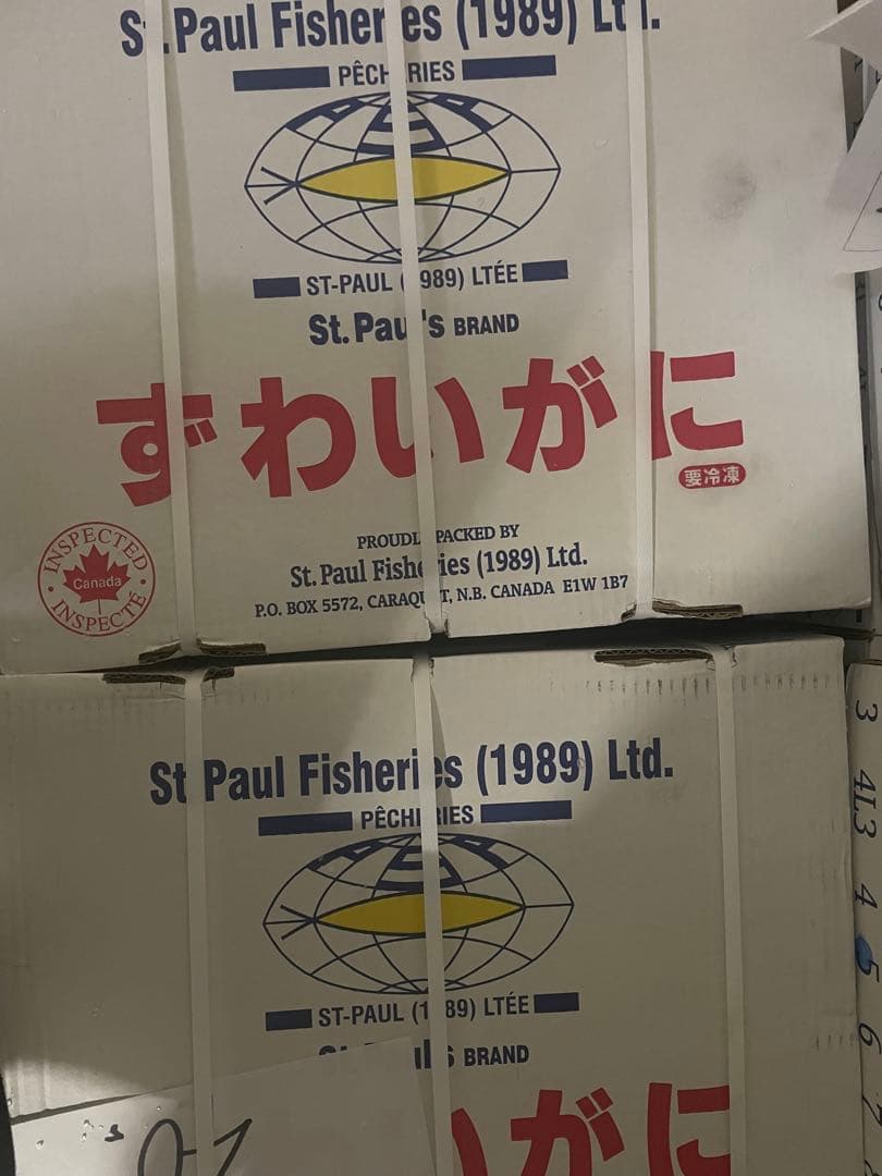 冷凍ボイル　本ズワイガニ5尾/総重量3.0kg