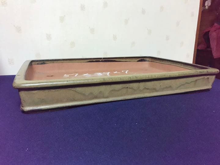 ルンバ君盆栽　盆栽鉢　植木鉢　中国鉢