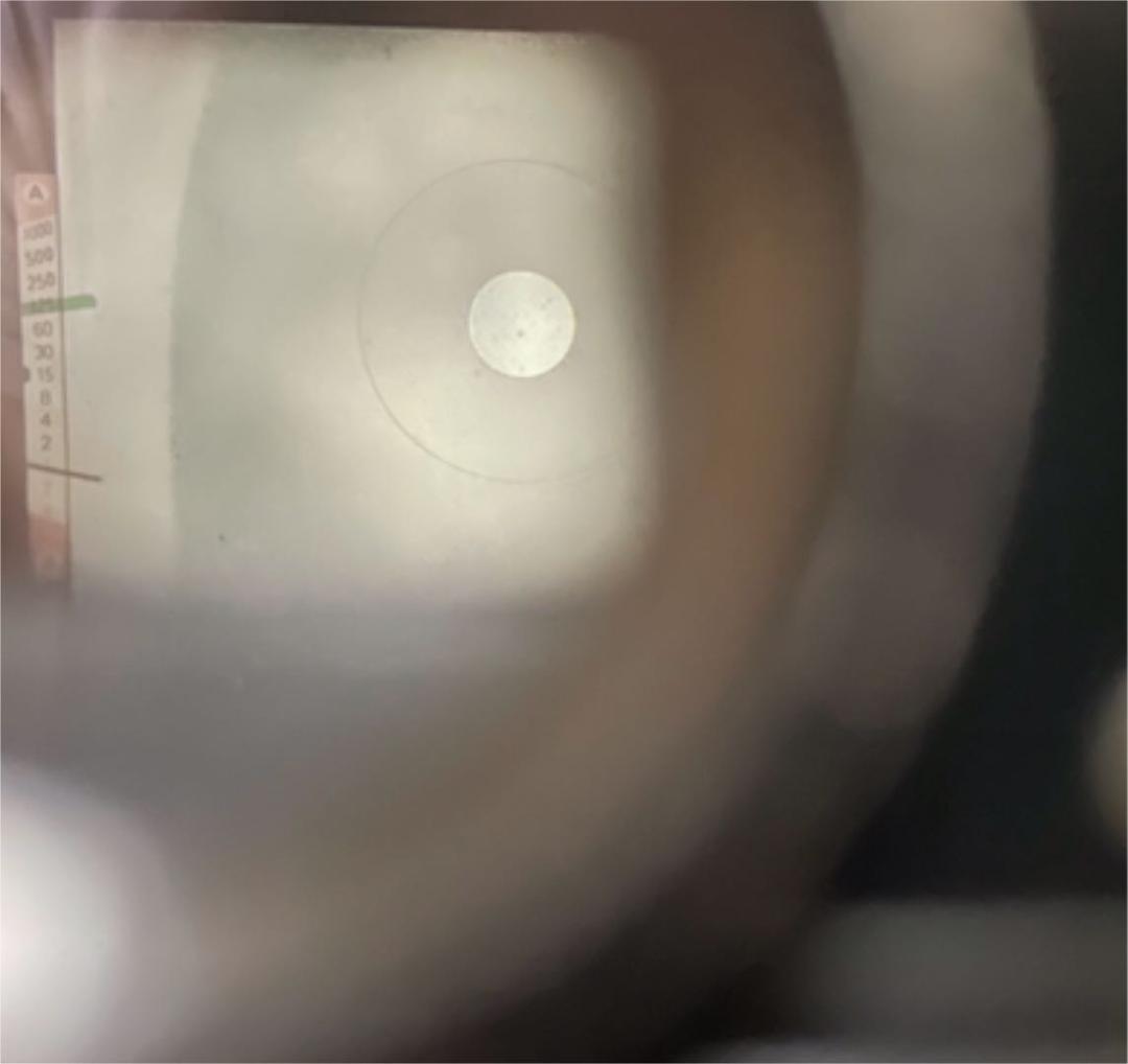 Nikon Nikomat EL 35mm フィルム一眼レフカメラ＋レンズ