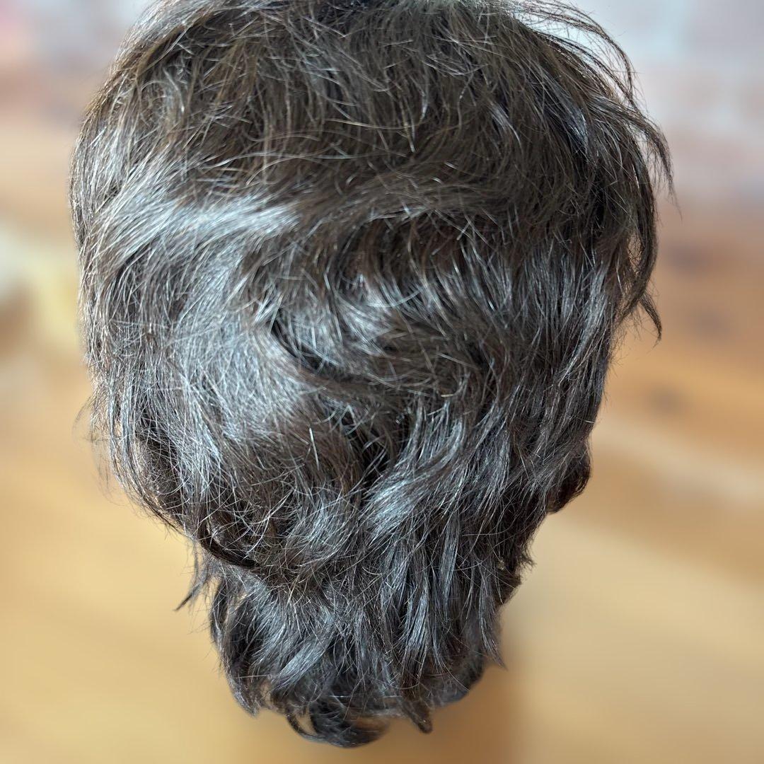 美容師国家試験　練習用ウィッグ2体　他